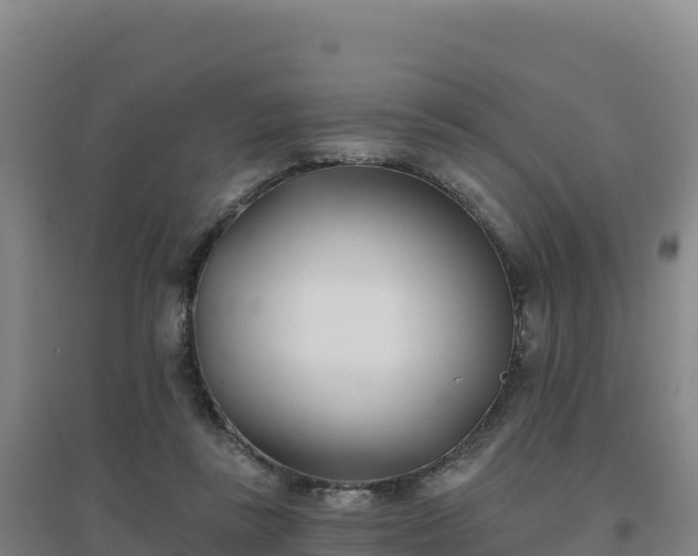 X0000096720355200802121253