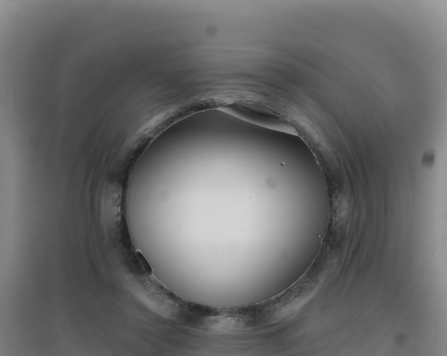 X0000096720356200802121253