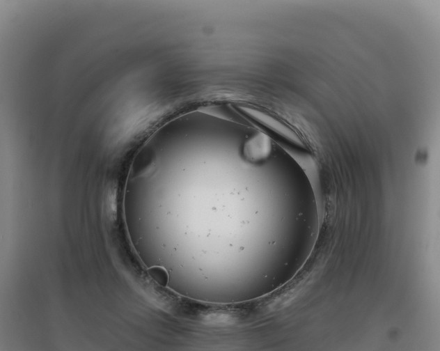 X0000096720358200802121253