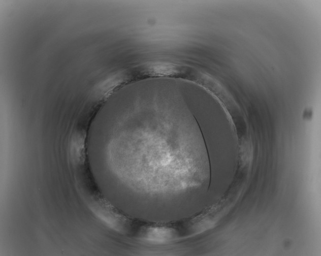 X0000096720360200802121253