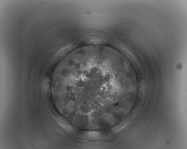 X0000096720361200802121253