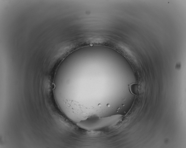 X0000096720362200802121253