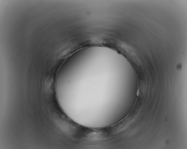 X0000096720364200802121253