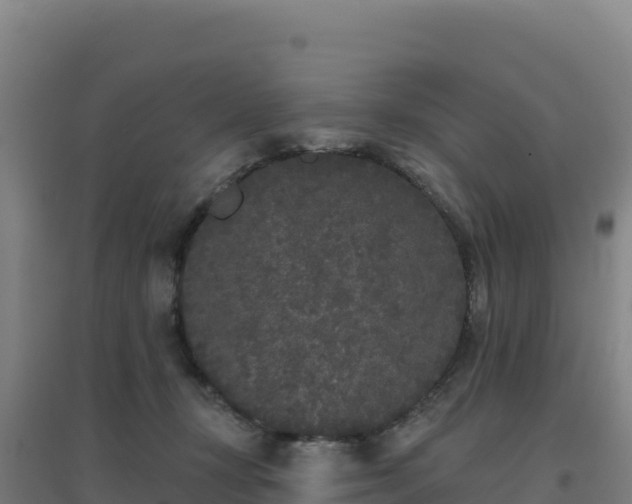 X0000096720367200802121253