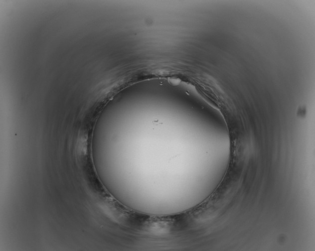 X0000096720368200802121253