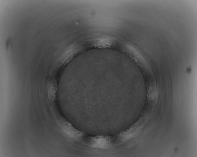 X0000096720370200802121253