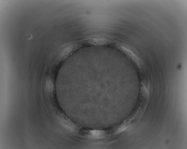 X0000096720371200802121253