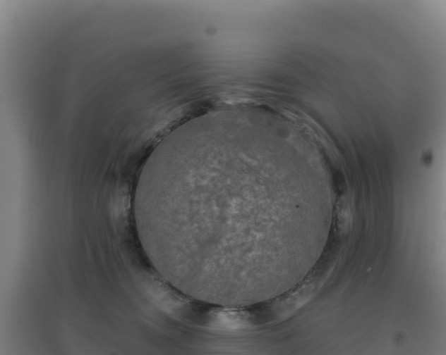 X0000096720372200802121253