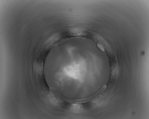 X0000096720376200802121253