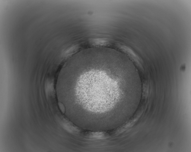 X0000096720377200802121253