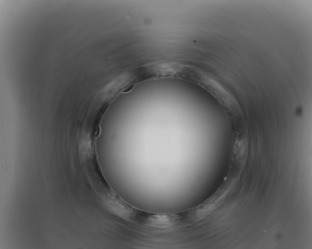 X0000096720381200802121254