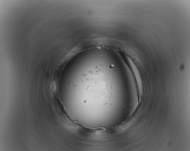 X0000096720382200802121254