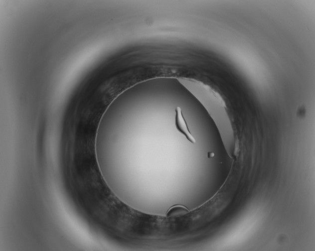 X0000096720383200802121254