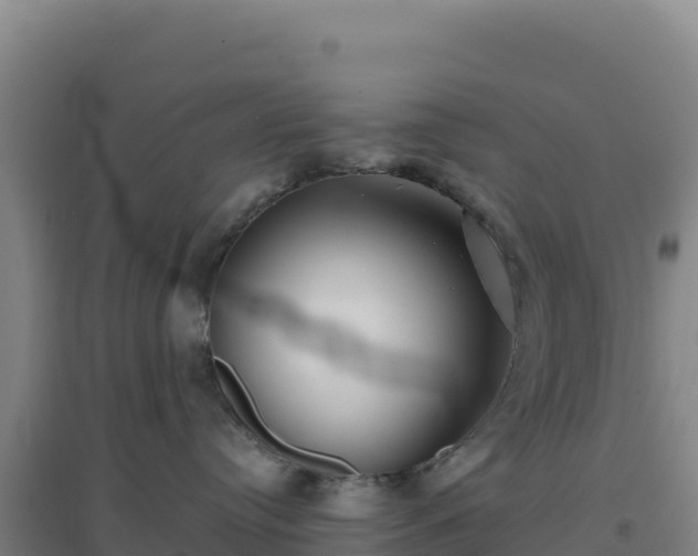 X0000096720384200802121254