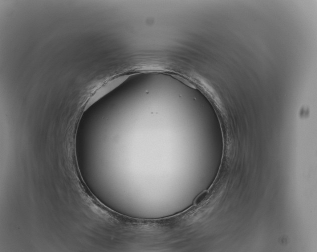 X0000096720385200802121253