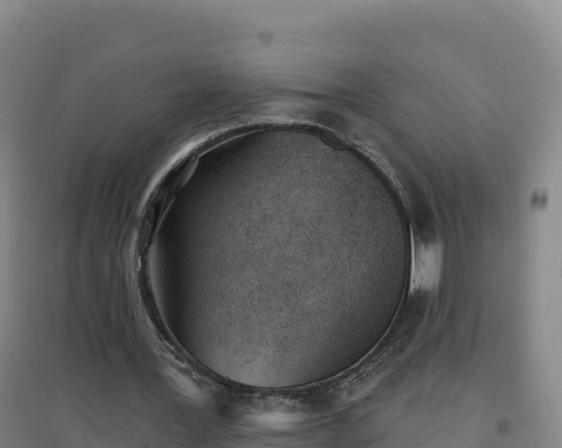 X0000096720387200802121253