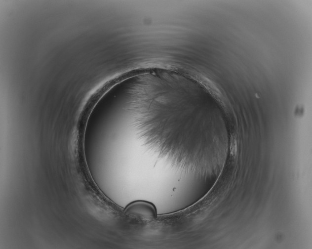 X0000096720388200802121253