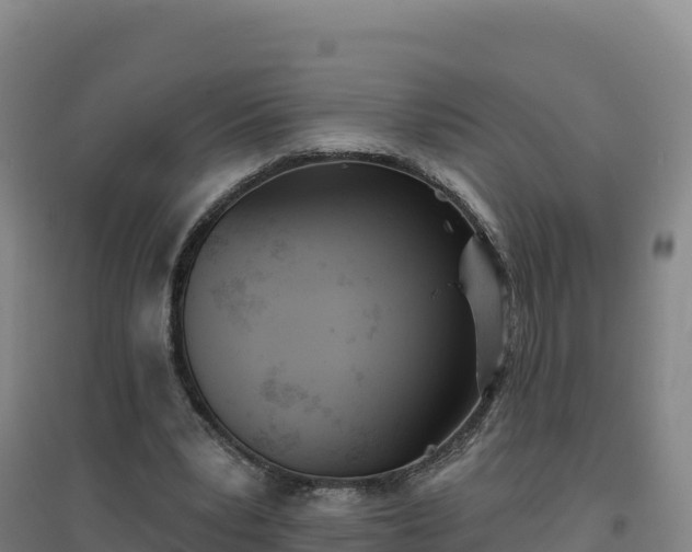 X0000096720391200802121253