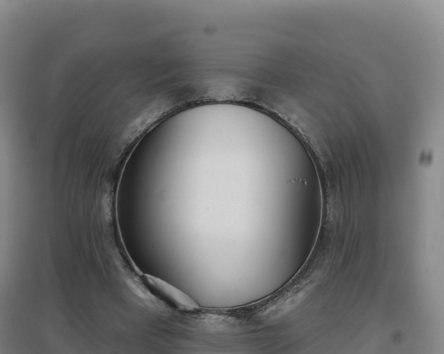 X0000096720393200802121253