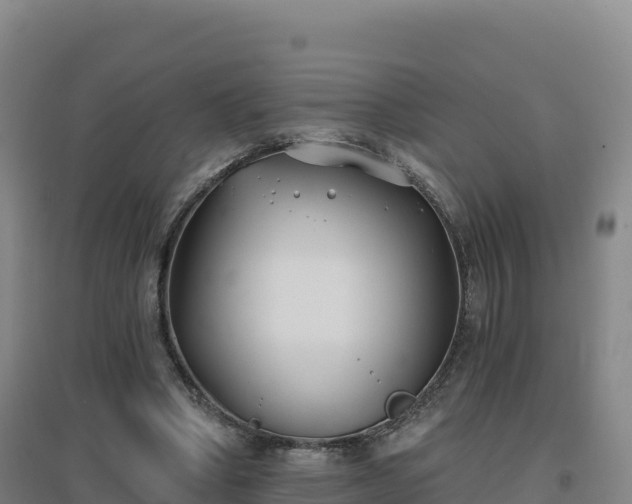 X0000096720394200802121253