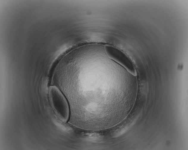 X0000096720395200802121252