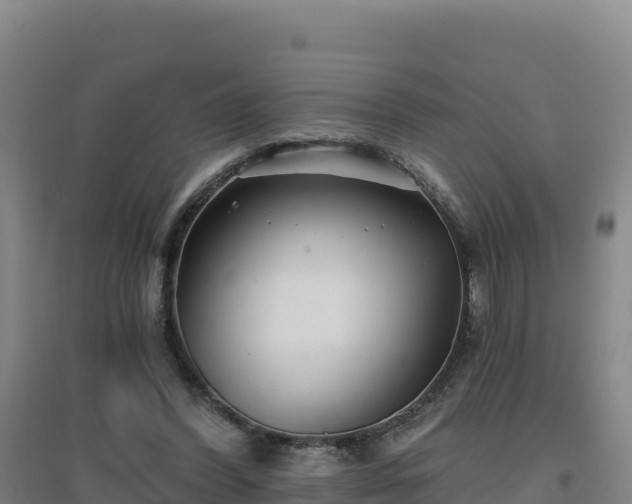 X0000096720396200802121252