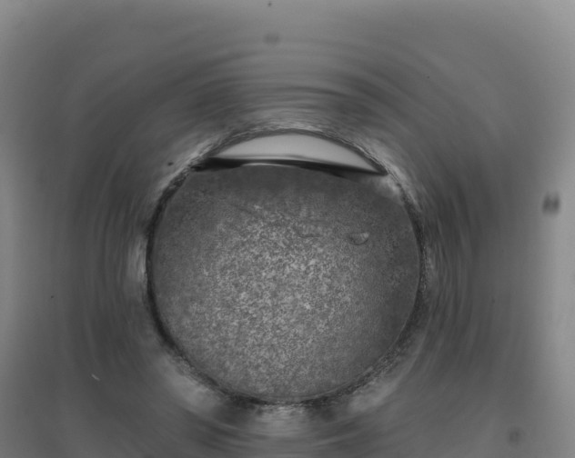 X0000096720398200802121252