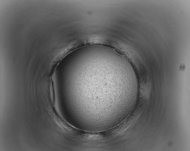 X0000096720401200802121252