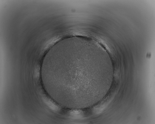 X0000096720402200802121252