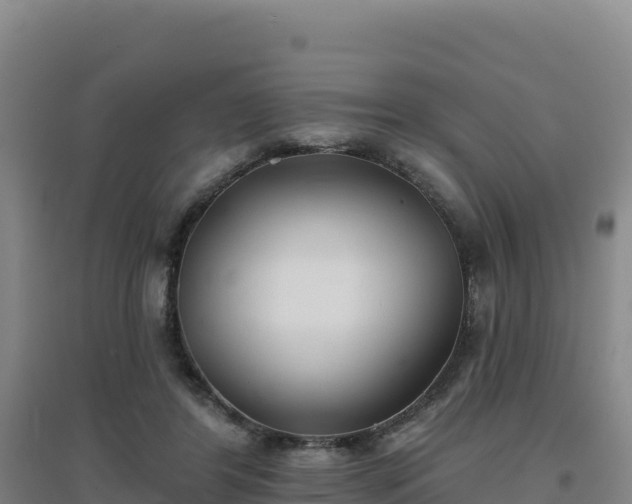 X0000096720404200802121252