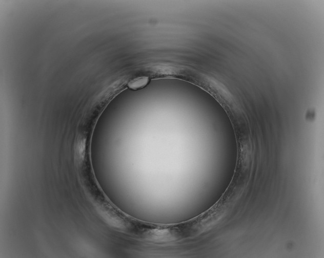 X0000096720406200802121252