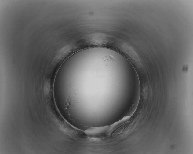 X0000096720407200802121252