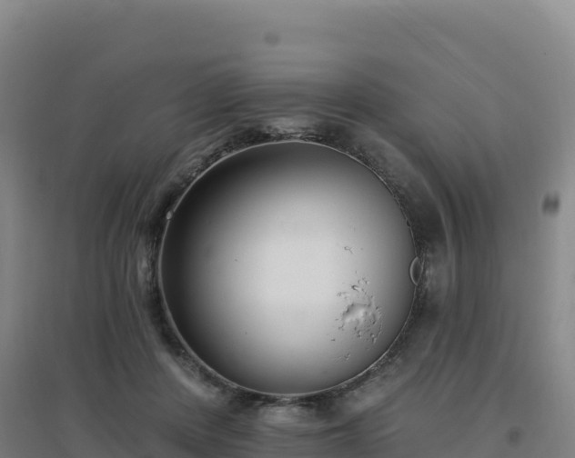 X0000096720408200802121252