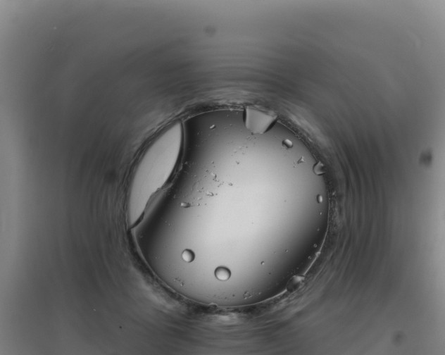 X0000096720411200802121252