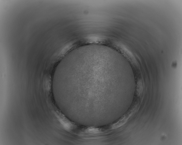 X0000096720413200802121252