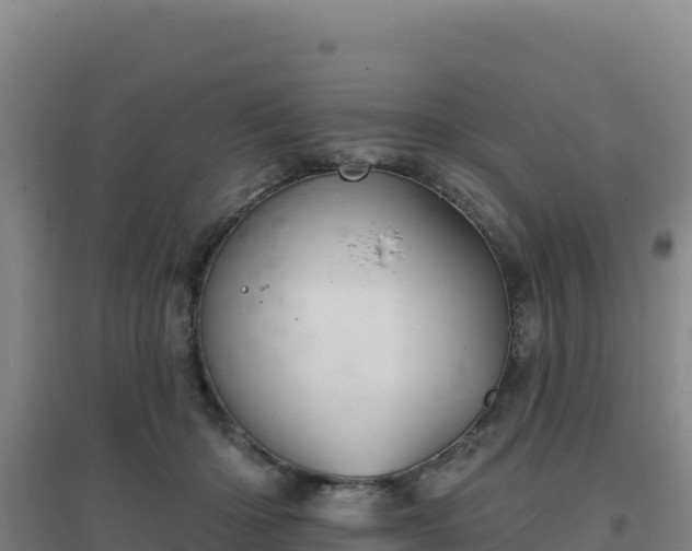 X0000096720414200802121252