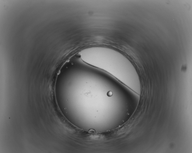 X0000096720415200802121252