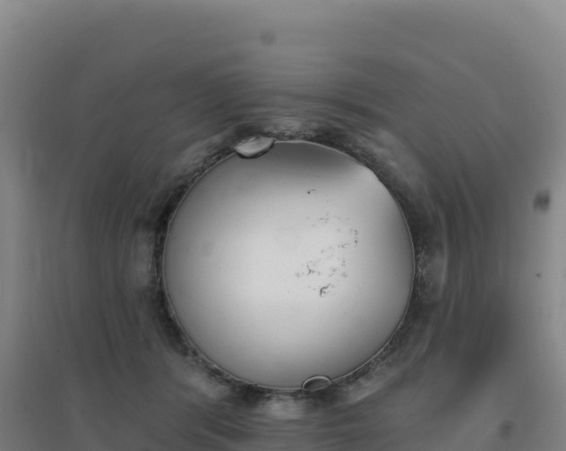 X0000096720416200802121252