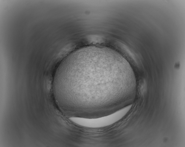 X0000096720417200802121252