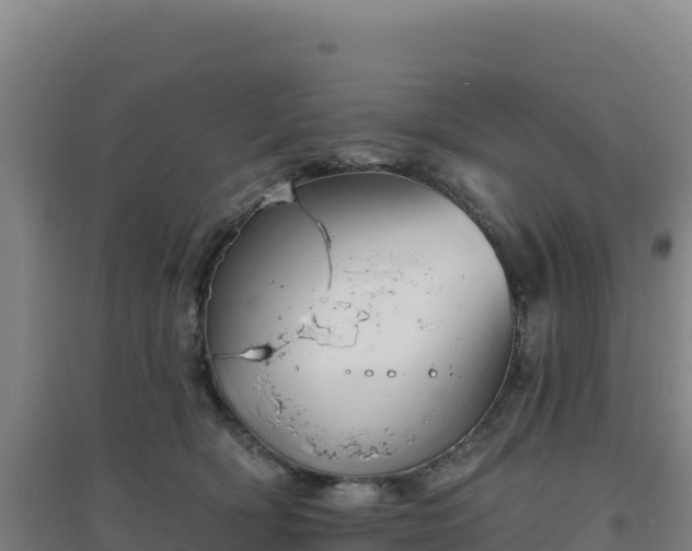 X0000096720418200802121252