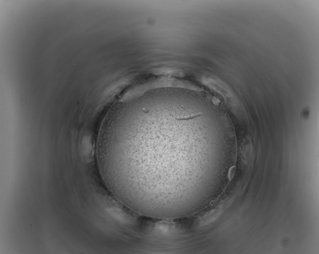 X0000096720420200802121252