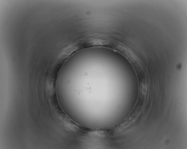 X0000096720422200802121252