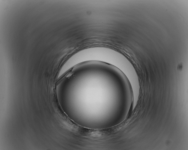 X0000096720423200802121252