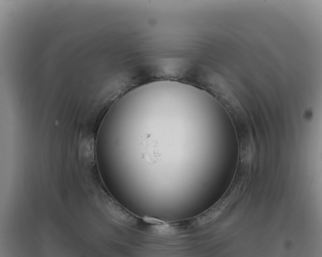 X0000096720425200802121252