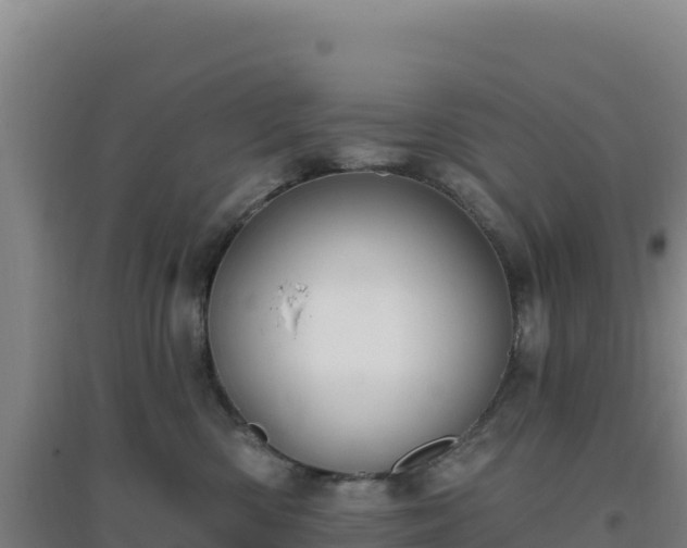 X0000096720426200802121252