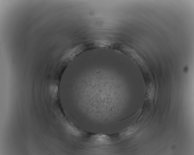 X0000096720427200802121252