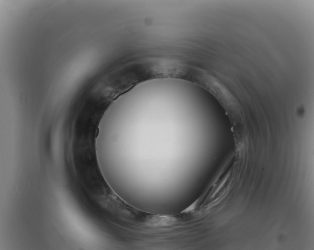 X0000096720429200802121252