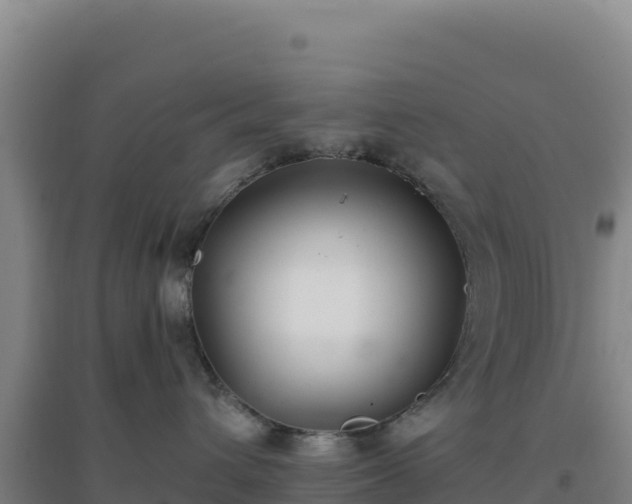 X0000096720432200802121252