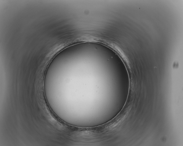 X0000096720433200802121251