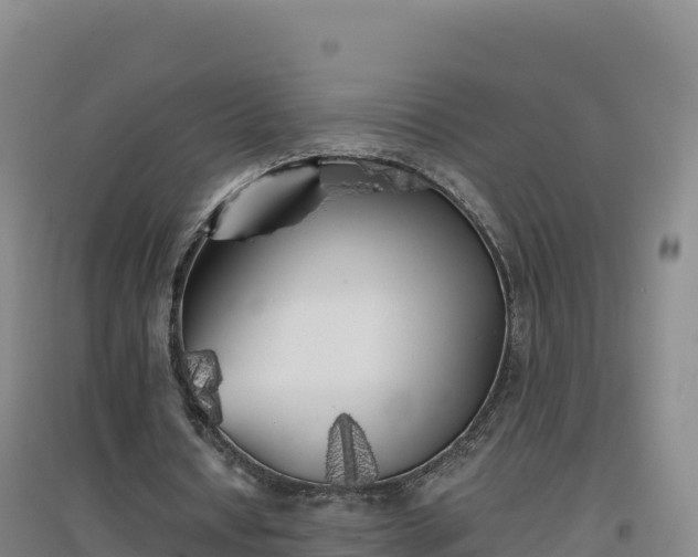 X0000096720434200802121251